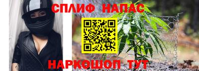 дживик Заводоуковск